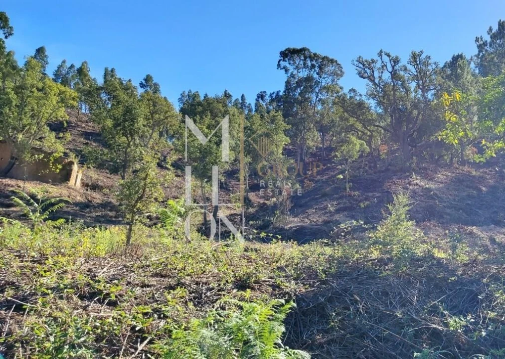 Moradia T2 para Venda em São Teotónio Foto 11