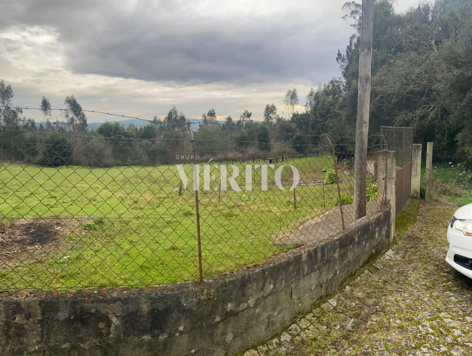 Terreno para Venda em Areias, Sequeirô, Lama e Palmeira Foto 4