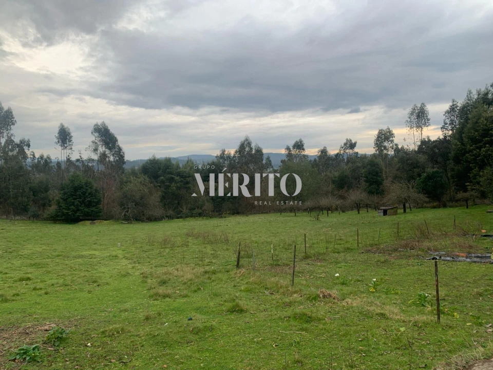 Terreno para Venda em Areias, Sequeirô, Lama e Palmeira Foto 2