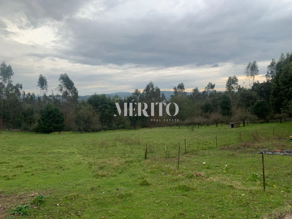 Terreno para Venda em Areias, Sequeirô, Lama e Palmeira Foto 1