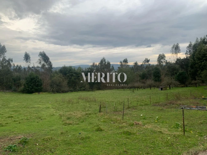 Terreno para Venda em Areias, Sequeirô, Lama e Palmeira Foto 2