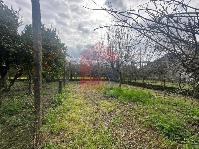 Moradia T2 para Venda em Real, Dume e Semelhe Foto 10