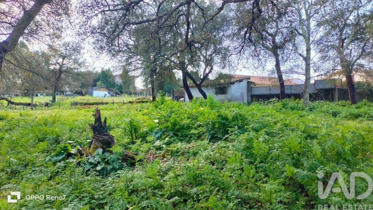 Moradia T4 para Venda em Fiães Foto 16