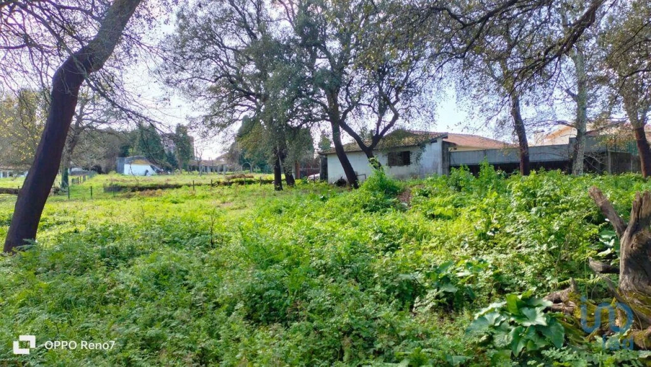 Moradia T4 para Venda em Fiães Foto 10