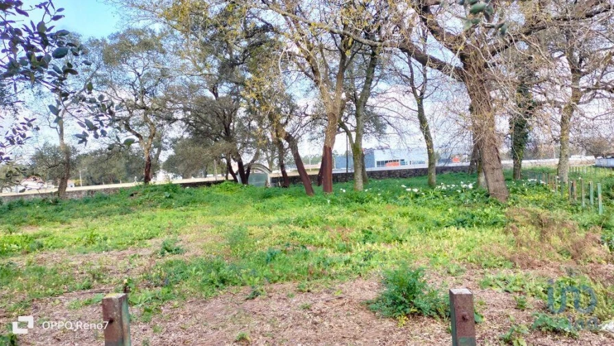 Moradia T4 para Venda em Fiães Foto 14