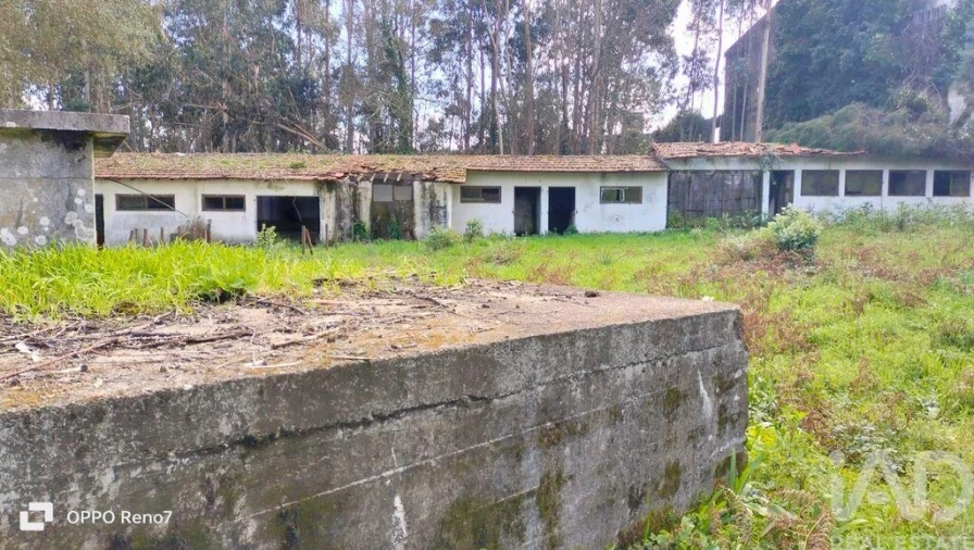 Moradia T4 para Venda em Fiães Foto 22