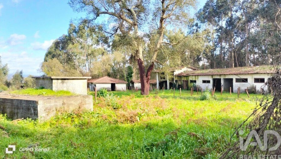 Moradia T4 para Venda em Fiães Foto 25