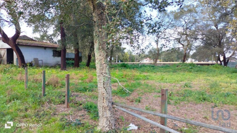 Moradia T4 para Venda em Fiães Foto 9