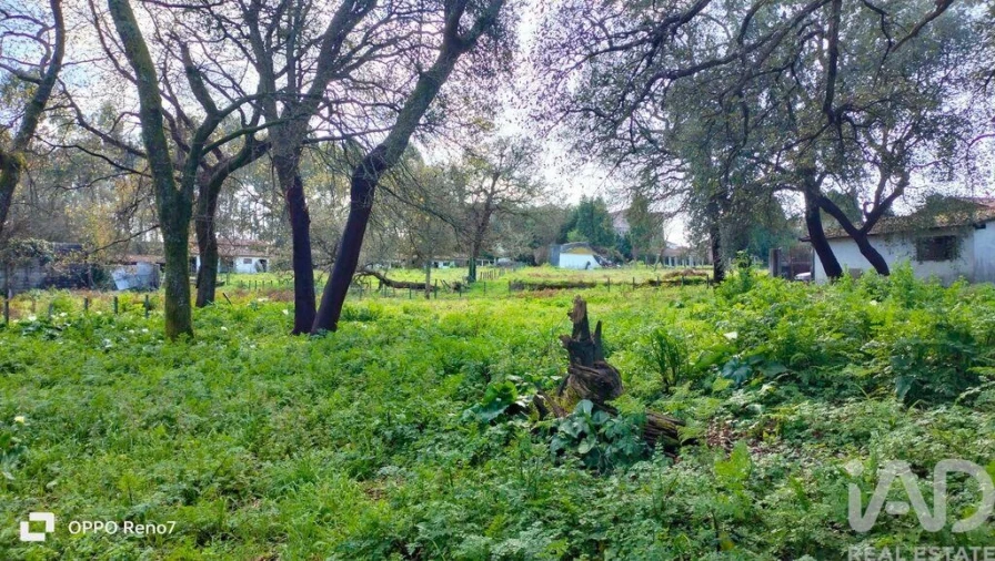 Moradia T4 para Venda em Fiães Foto 17