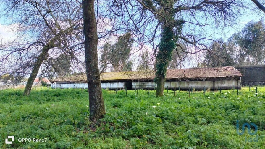 Moradia T4 para Venda em Fiães Foto 13