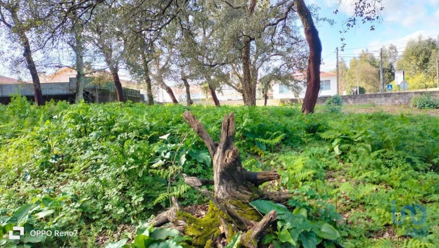 Moradia T4 para Venda em Fiães Foto 7