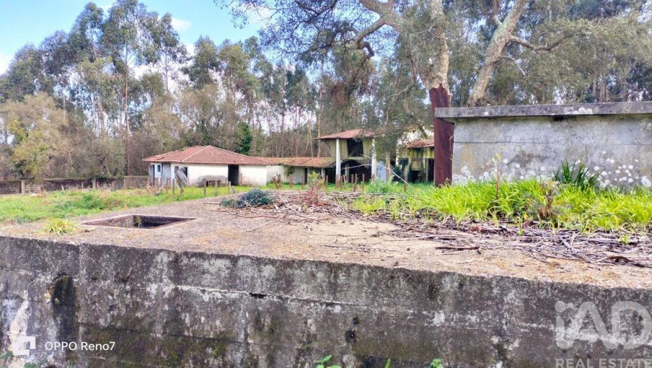 Moradia T4 para Venda em Fiães Foto 23