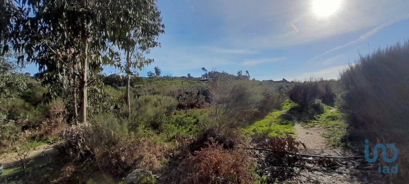 Terreno para Venda em Oliveira do Hospital e São Paio de Gramaços Foto 8
