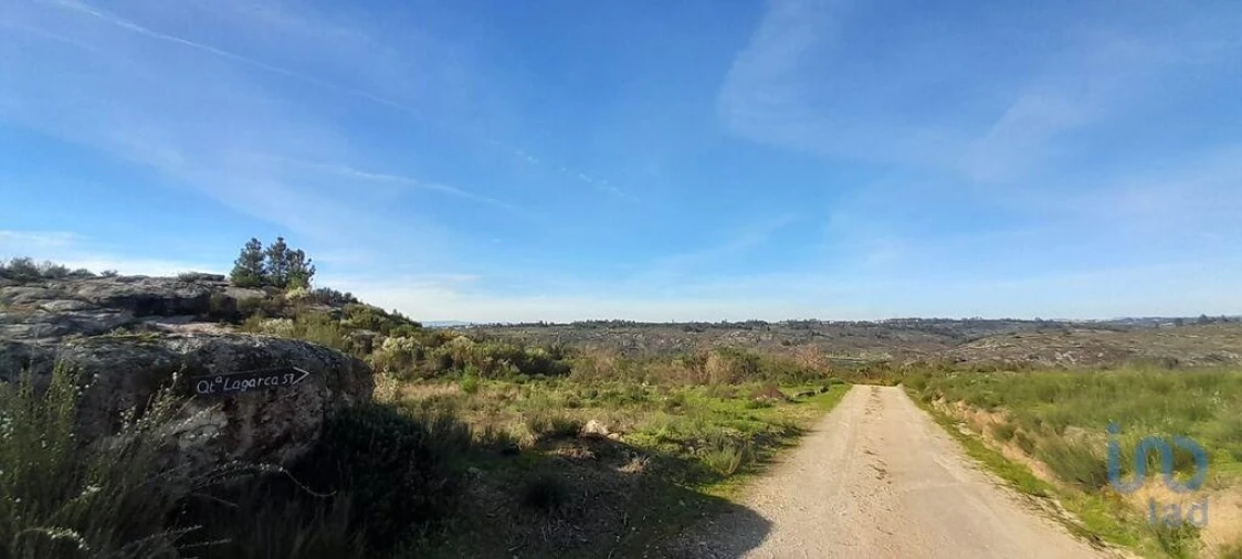 Terreno para Venda em Oliveira do Hospital e São Paio de Gramaços Foto 5