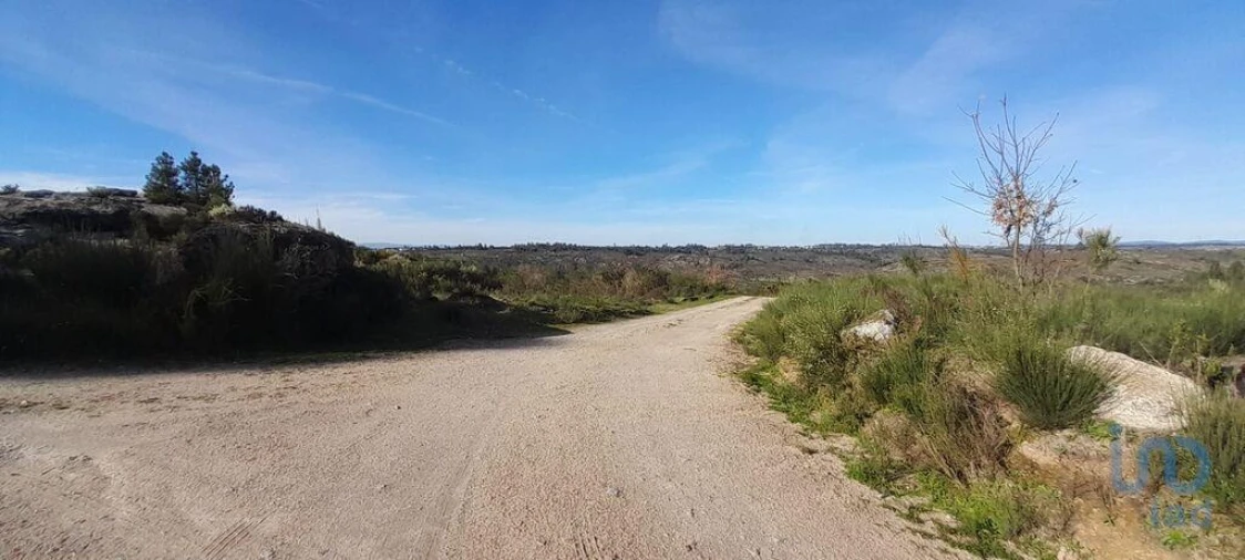 Terreno para Venda em Oliveira do Hospital e São Paio de Gramaços Foto 2