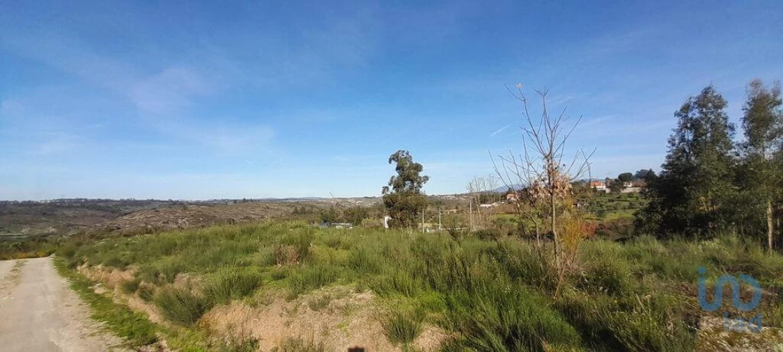 Terreno para Venda em Oliveira do Hospital e São Paio de Gramaços Foto 4