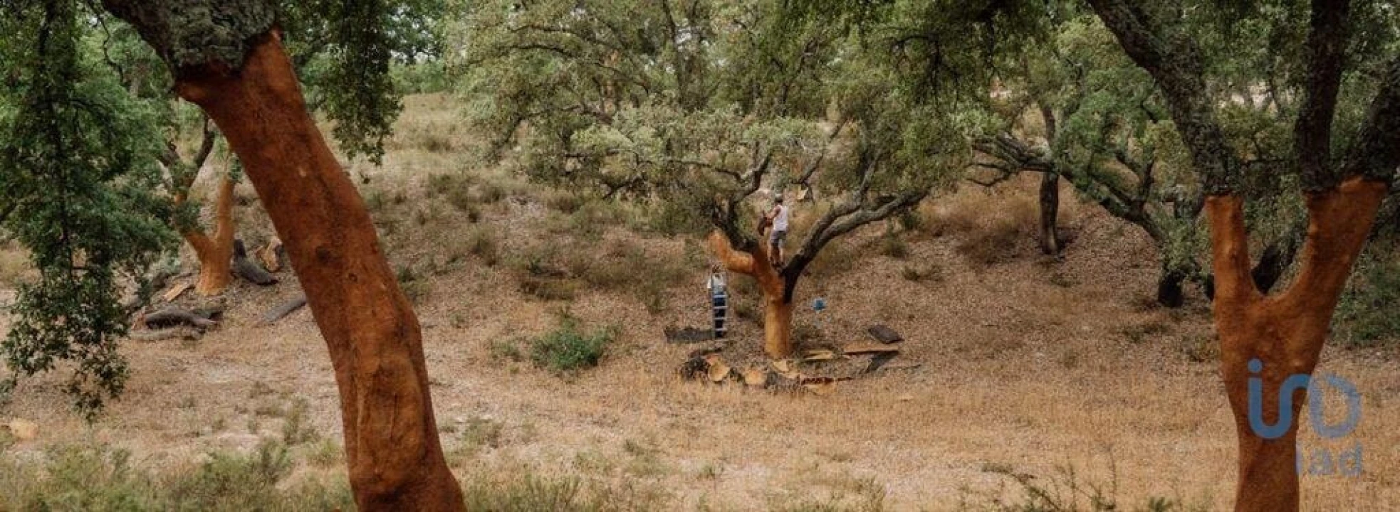 Terreno para Venda em Grândola e Santa Margarida da Serra Foto 2