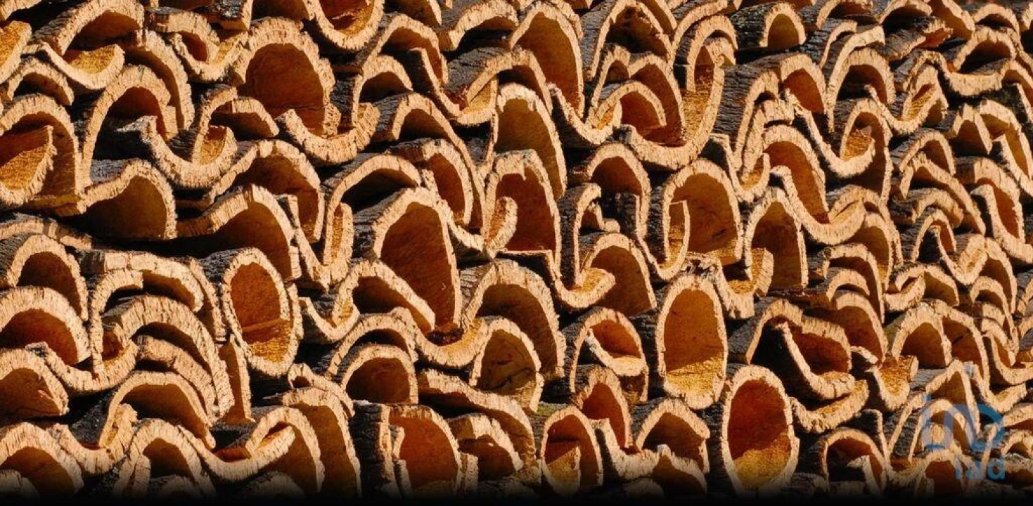 Terreno para Venda em Grândola e Santa Margarida da Serra Foto 1