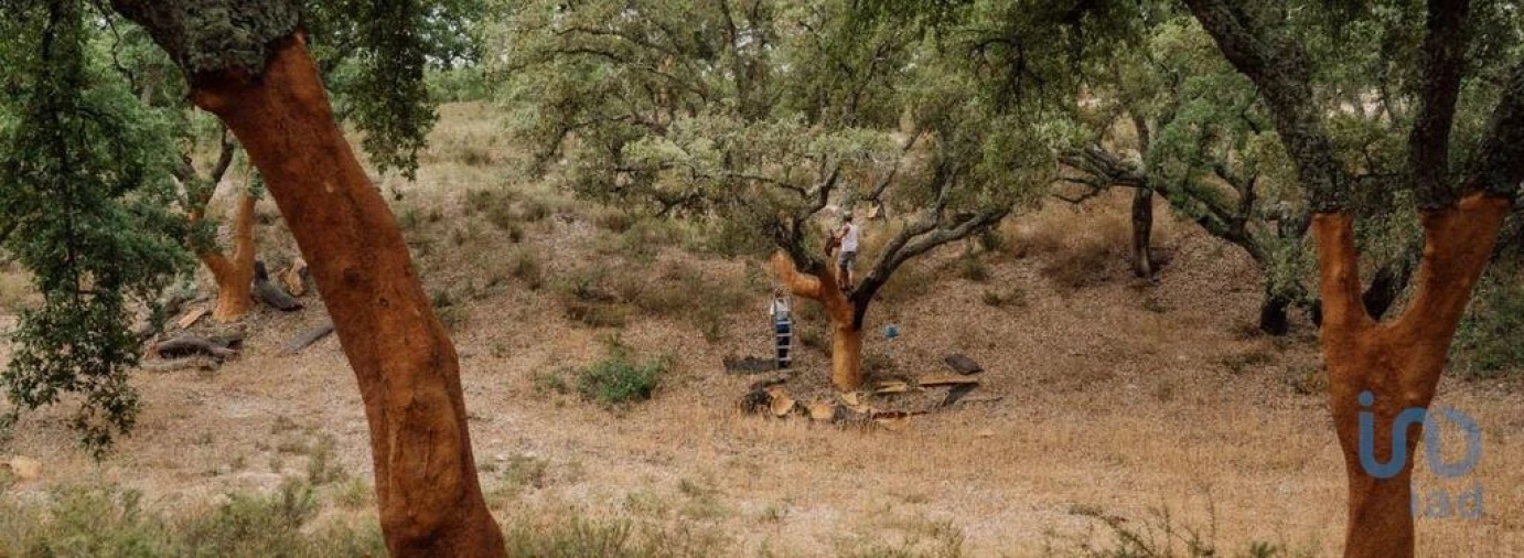 Terreno para Venda em Grândola e Santa Margarida da Serra Foto 2