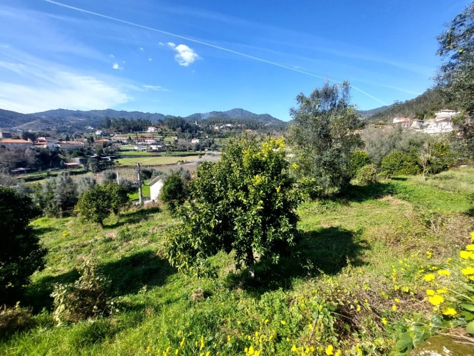Terreno para Venda em Goães Foto 2