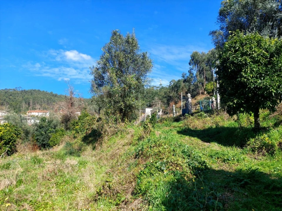 Terreno para Venda em Goães Foto 6