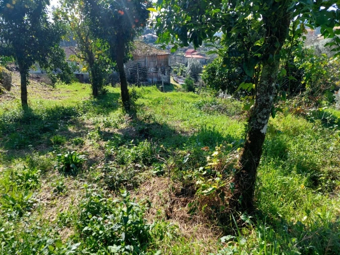 Terreno para Venda em Goães Foto 5