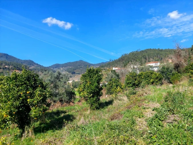 Terreno para Venda em Goães