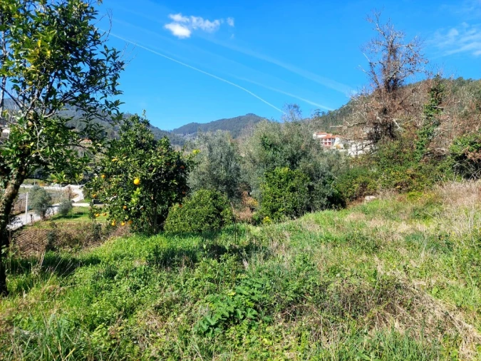 Terreno para Venda em Goães Foto 4