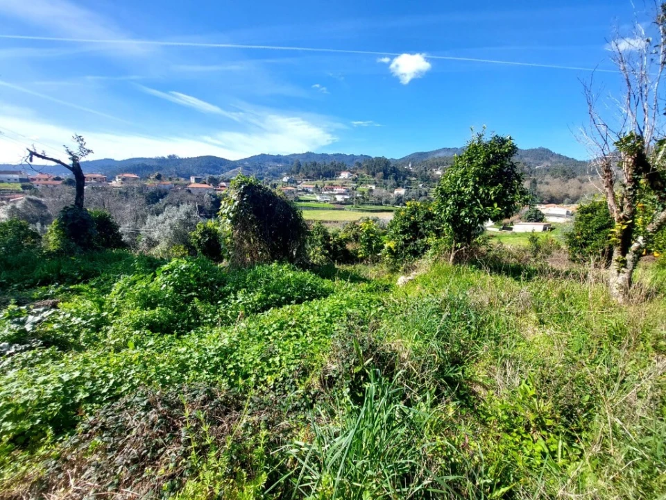 Terreno para Venda em Goães Foto 3