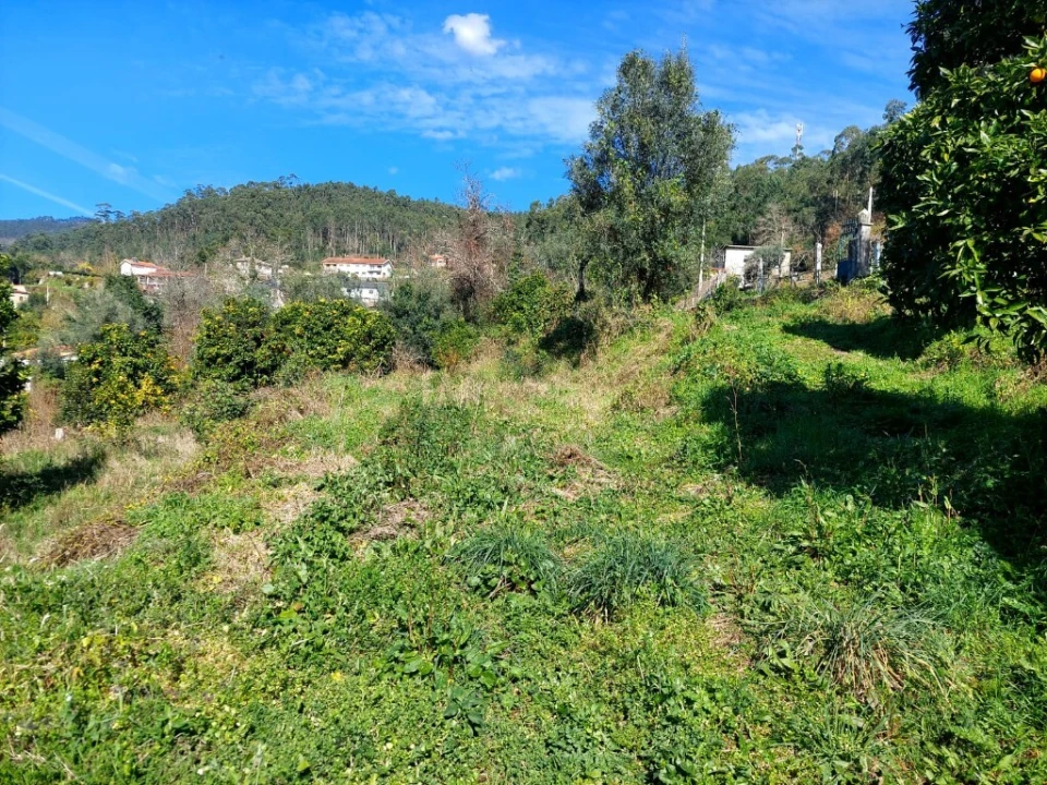 Terreno para Venda em Goães Foto 7