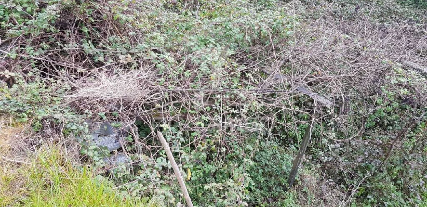 Terreno para Venda em Moura Morta e Vinhós Foto 2