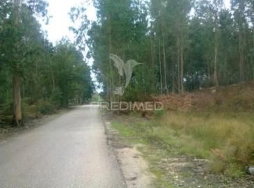 Terreno para Venda em Oliveira do Bairro