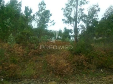 Terreno para Venda em Oliveira do Bairro