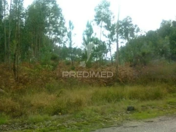 Terreno para Venda em Oliveira do Bairro