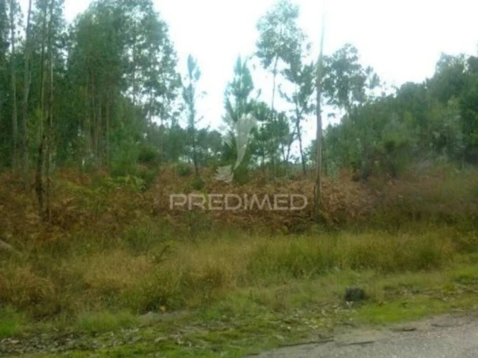 Terreno para Venda em Oliveira do Bairro Foto 2