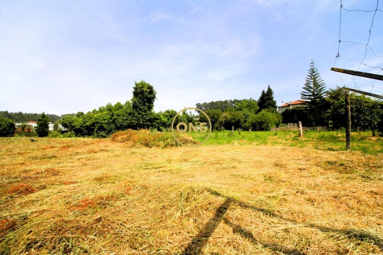 Terreno para Venda em Brufe Foto 5