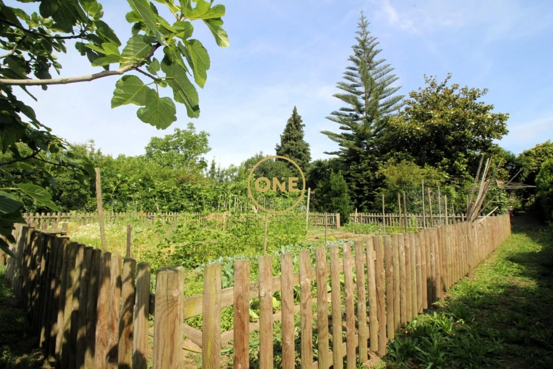 Terreno para Venda em Brufe Foto 6