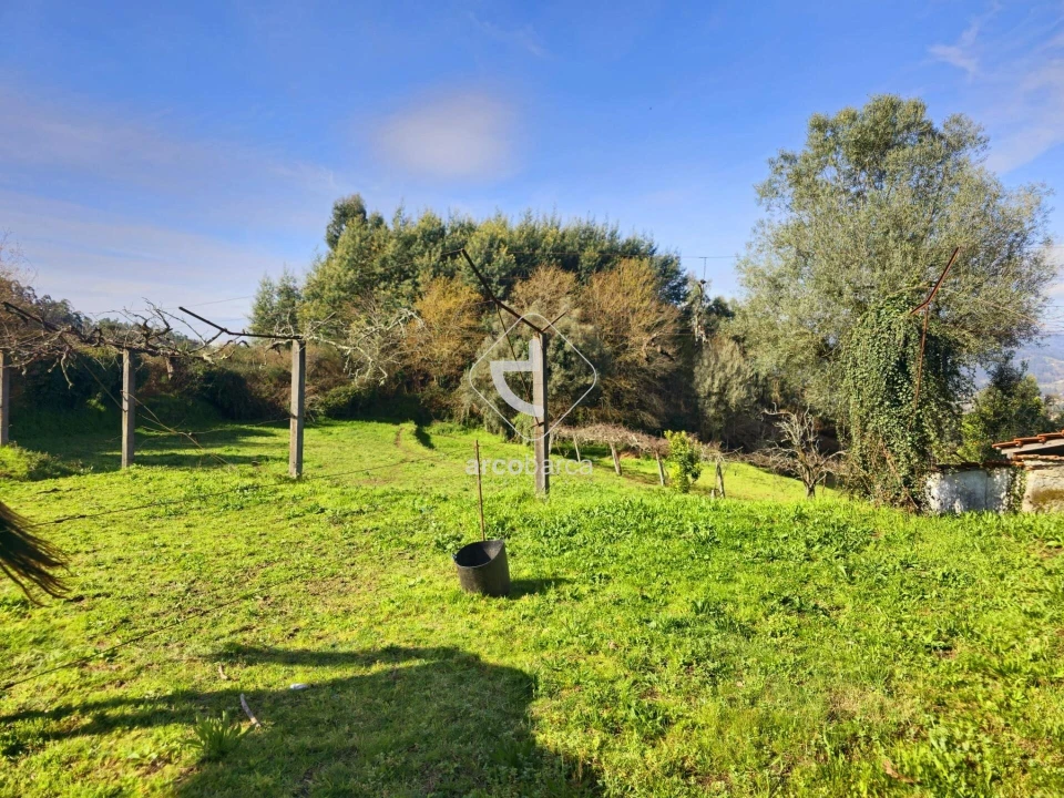 Moradia T1 para Venda em Azere Foto 22