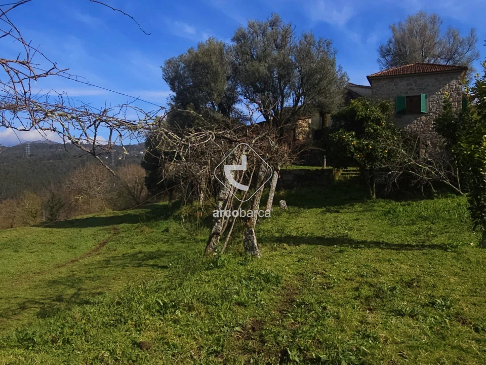 Moradia T1 para Venda em Azere Foto 35