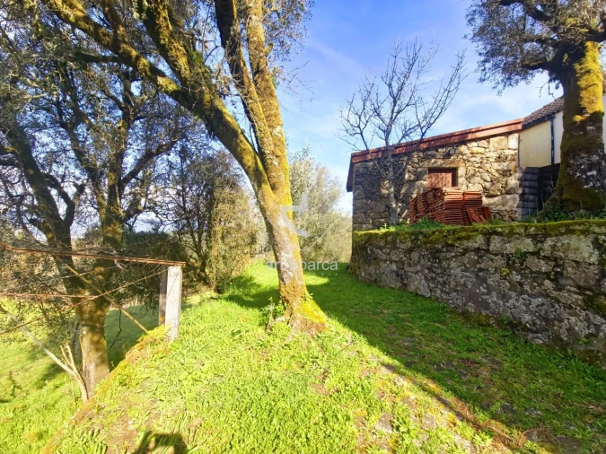 Moradia T1 para Venda em Azere Foto 1