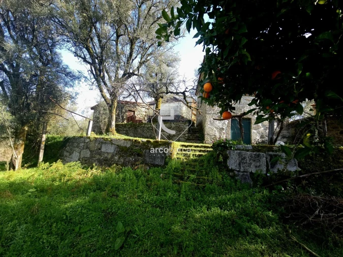 Moradia T1 para Venda em Azere Foto 33