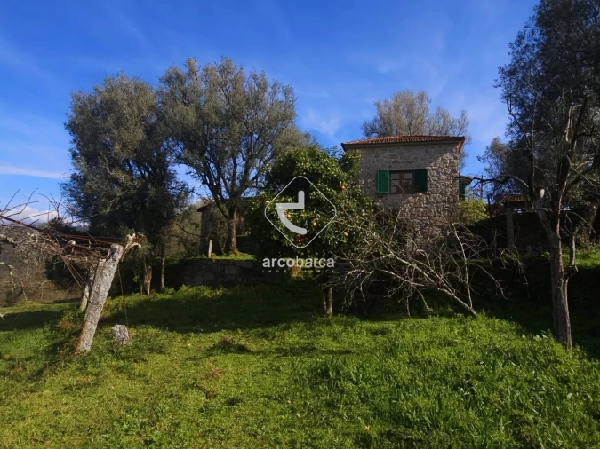 Moradia T1 para Venda em Azere Foto 27