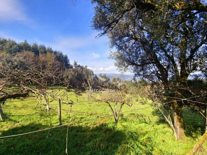 Moradia T1 para Venda em Azere Foto 23