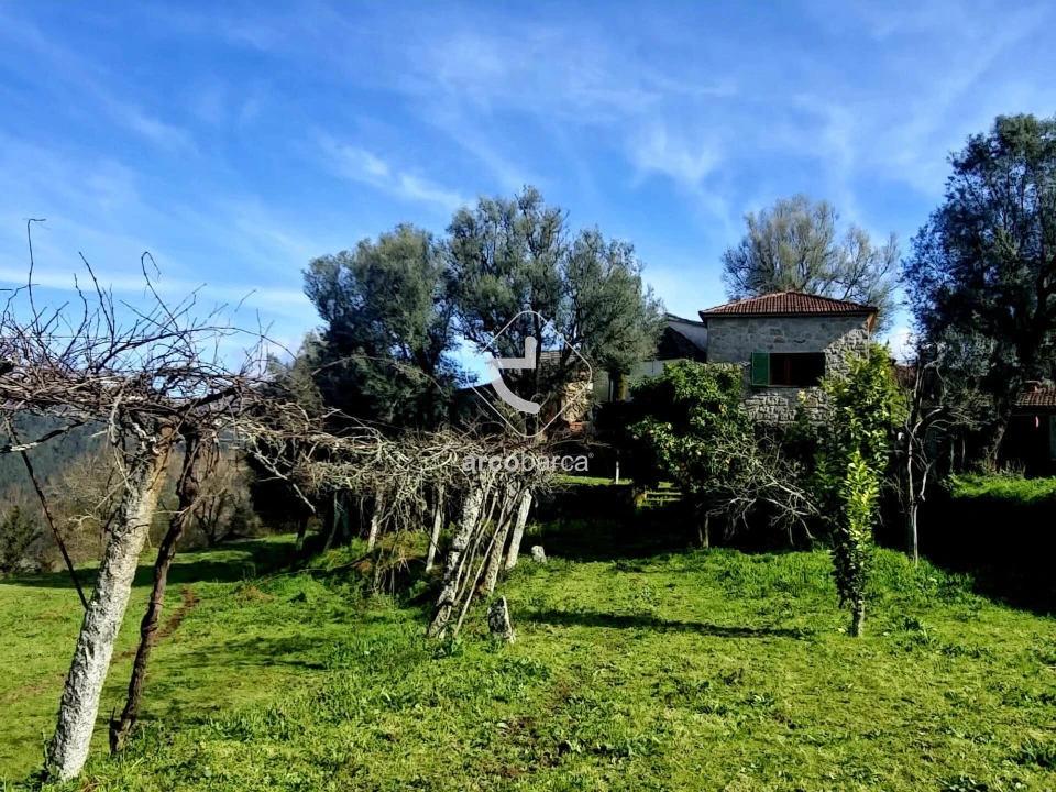 Moradia T1 para Venda em Azere Foto 26