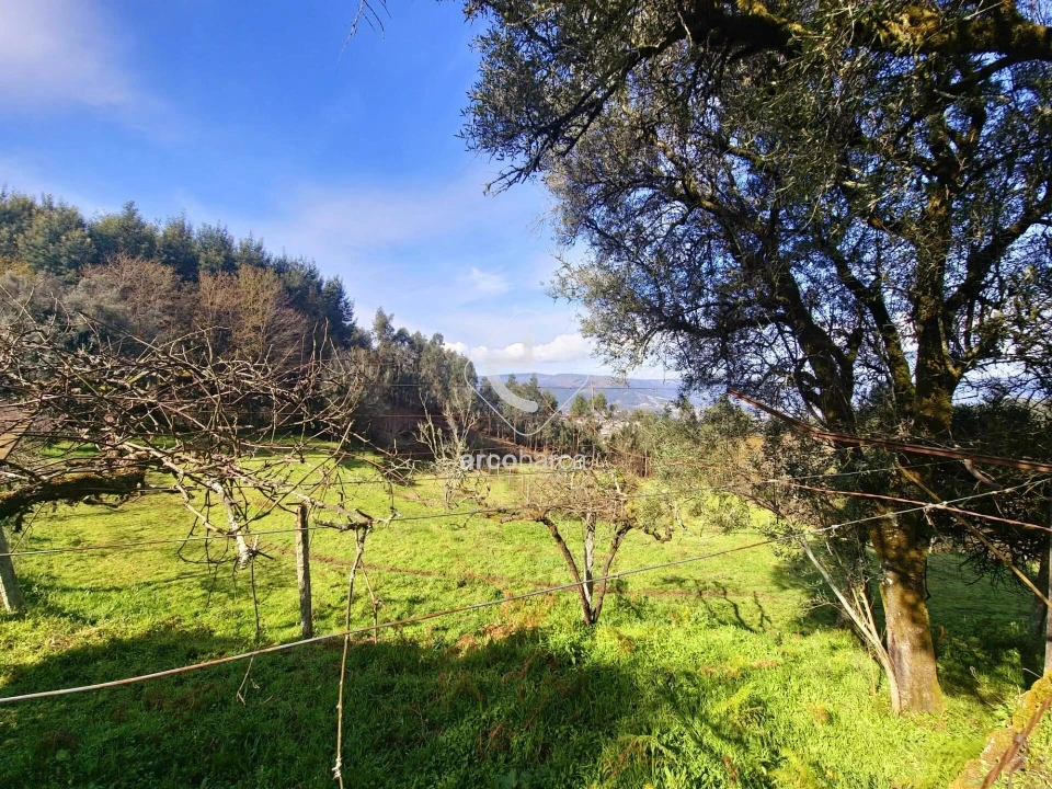 Moradia T1 para Venda em Azere Foto 23