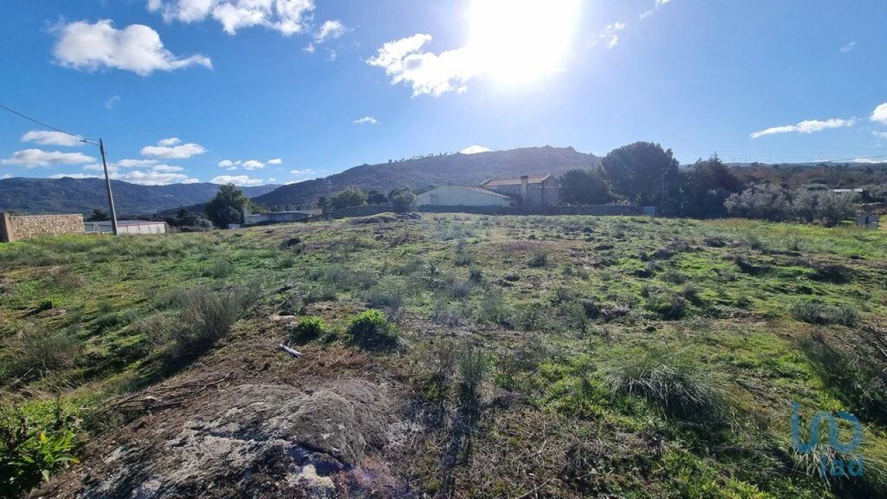 Terreno para Venda em Lajeosa do Mondego Foto 10