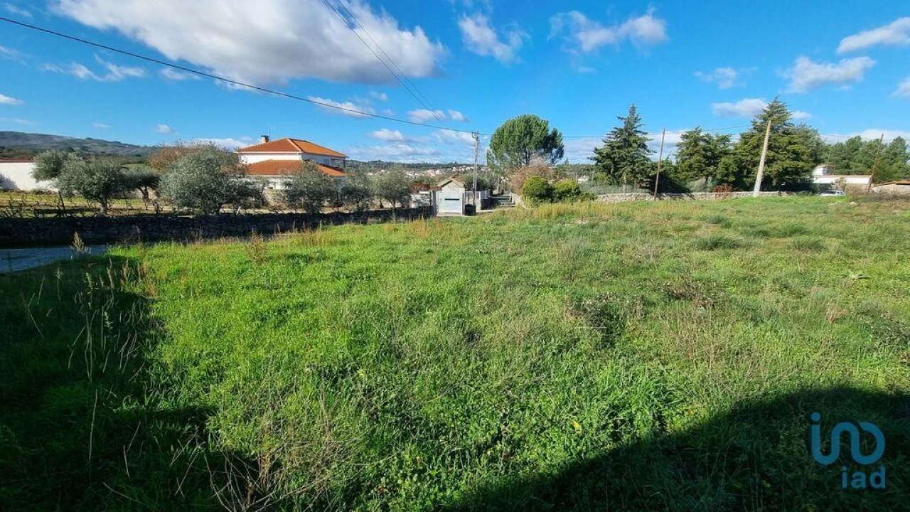 Terreno para Venda em Lajeosa do Mondego Foto 4