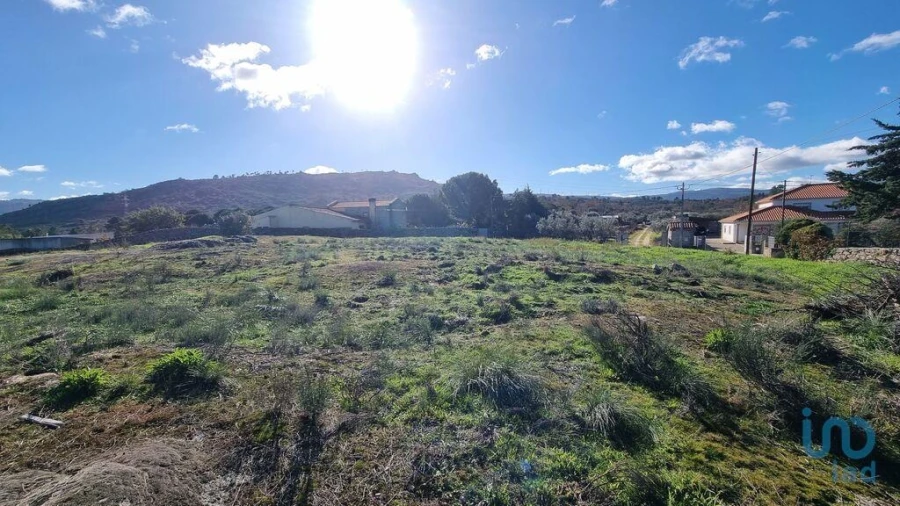 Terreno para Venda em Lajeosa do Mondego Foto 11