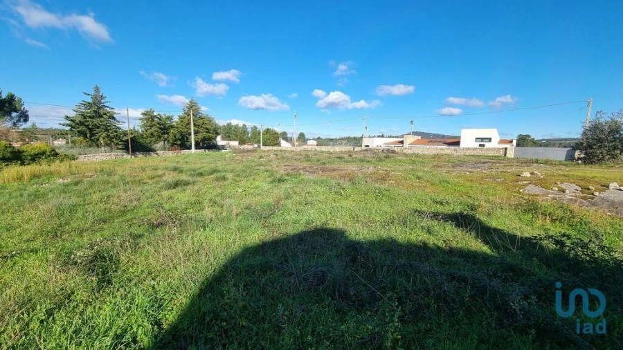 Terreno para Venda em Lajeosa do Mondego Foto 2