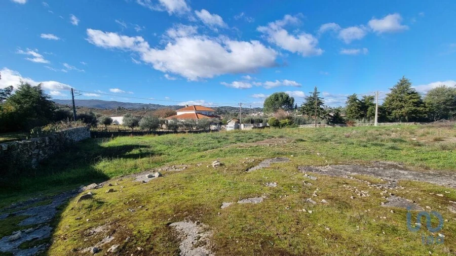 Terreno para Venda em Lajeosa do Mondego Foto 6